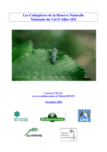 Velle L., 2004 - Inventaire des Coléoptères de la