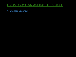 reproduction sexuée et asexuée 5e 2