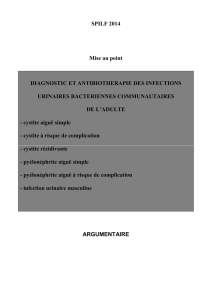 recommandations SPILF 2014 texte complet