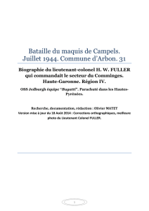 Bataille du maquis de Campels. Juillet 1944. Commune d`Arbon. 31