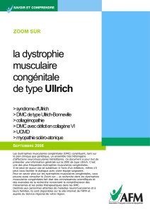 la dystrophie musculaire congénitale de type Ullrich