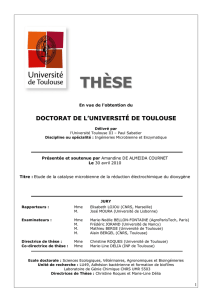 Sommaire - Université Paul Sabatier