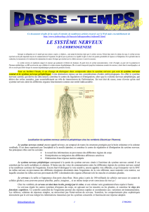 le système nerveux - Neur-one