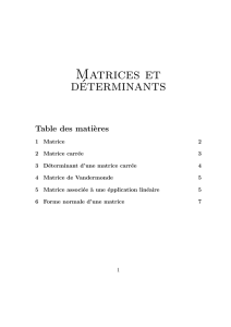 Matrices - Alexis Bonnecaze
