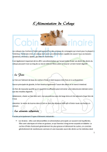 L`alimentation du Cobaye - Cabinet Vétérinaire du Vallon
