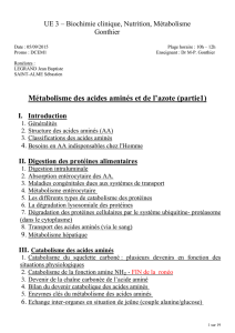 Métabolisme des acides aminés et de l`azote (partie1) I. Introduction