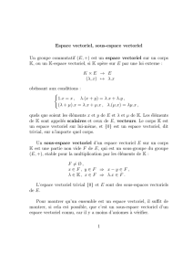 Espace vectoriel, sous-espace vectoriel Un groupe commutatif (E,+)