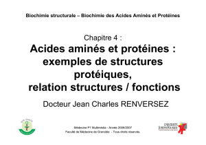Acides aminés et protéines : exemples de structures protéiques