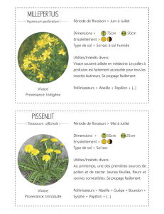 Pour télécharger les fiches explicatives - Nature