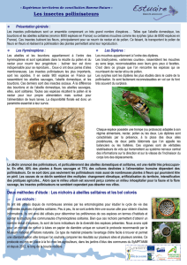 Les insectes pollinisateurs - Groupe Associatif ESTUAIRE