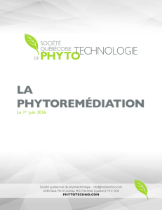 la phytoremédiation - Société québécoise de phytotechnologie