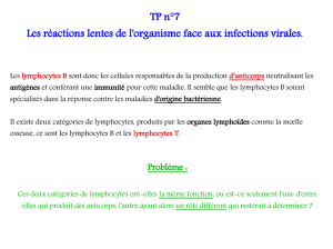 TP n°7 Les réactions lentes de l`organisme face aux infections virales.