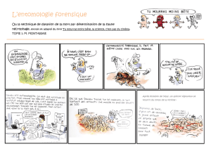 L`entomologie forensique