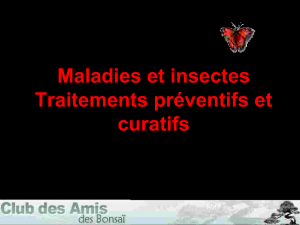 maladies et insectes