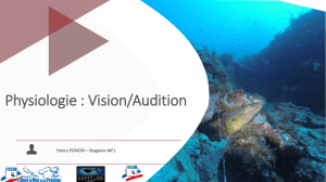 Physiologie : Vision/Audition