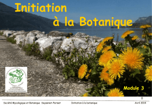 Formation bota 2014 module 3 - Société Mycologique et Botanique