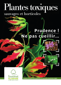 Plantes toxiques sauvages et horticoles