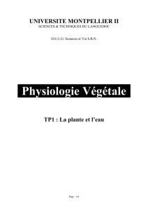 Physiologie Végétale - io-one