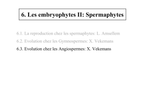 6. Les embryophytes II: Spermaphytes