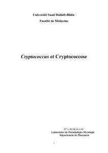 Cryptococcus et Cryptococcose