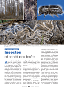 Insectes et santé des forêt
