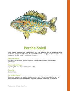 Perche-Soleil - Fédération de Pêche de Côte-d`Or