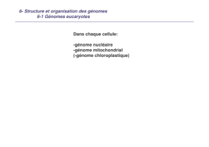 6- Structure et organisation des génomes 6