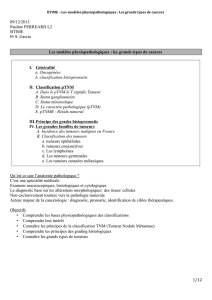 les grands types de cancers I. Généralit