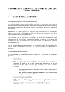 CHAPITRE VI - Documents pour le développement durable