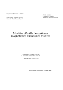 Modèles effectifs de systèmes magnétiques