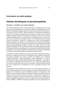 Cellules dendritiques et parodontopathies