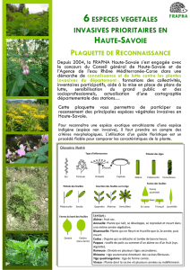 Plaquette Plantes invasives - Communauté de Communes des