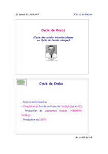 Cycle de Krebs 2013-2014