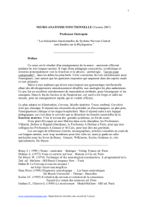 NEURO-ANATOMIE FONCTIONNELLE (Version 2007) Professeur