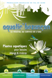 Plantes aquatiques