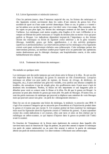 1 1.1. Lésion ligamentaire et méniscale (entorse)