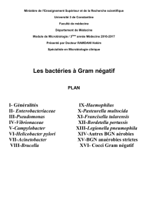 Les bactéries à Gram négatif - Université de Constantine 3