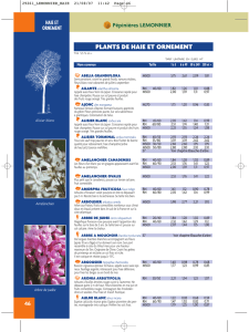 Voir le document