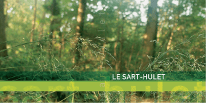 Le Sart-Hulet - Nature Namur