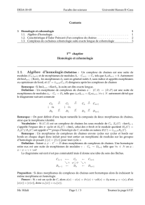 1.1. Algébre d`homologie.