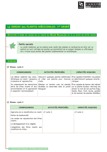 Les plantes médicinales école primaire