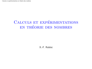 Calculs et expérimentations en théorie des nombres