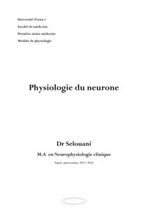 Physiologie du neurone