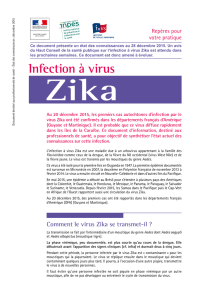 Infection à virus Zika - Ministère des Affaires sociales et de la Santé