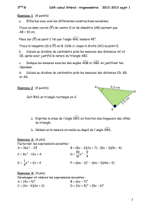 DS4 calcul littéral -trigonométrie 2012