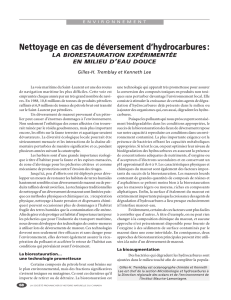 Nettoyage en cas de déversement d`hydrocarbures