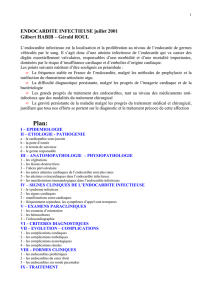 ENDOCARDITE INFECTIEUSE juillet 2001 Gilbert HABIB – Gérald