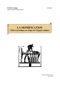 La Momification : filière technique au temps de l`Egypte antique