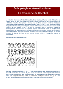 Embryologie et évolutionnisme: La tromperie de Haeckel