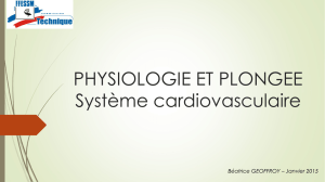 PHYSIOLOGIE ET PLONGEE Système cardiovasculaire